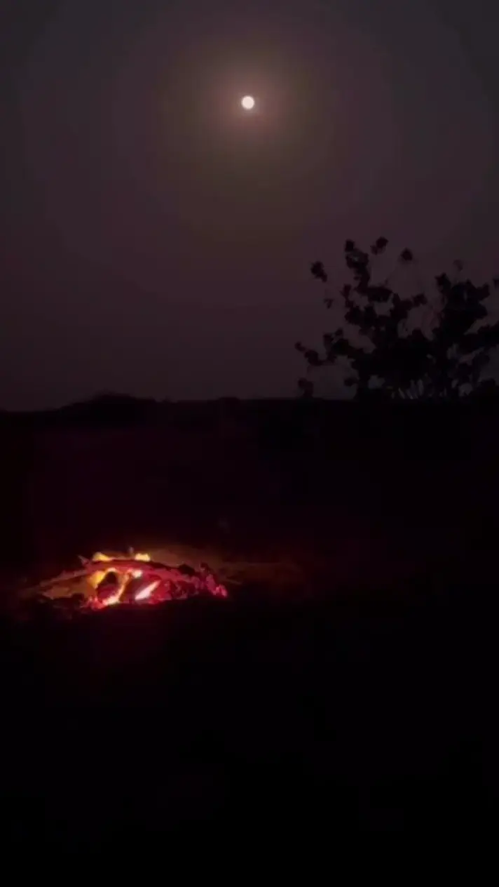 #من_هو_فينا_خالي_بلاوي  #البدع_حقل_ضباء_تبوك_نيوم #🇸🇦 #🇸🇦🇧🇭🇮🇶🇵🇸🇪🇬🇸🇾🇴🇲🇯🇴🇶🇦🇹🇷 