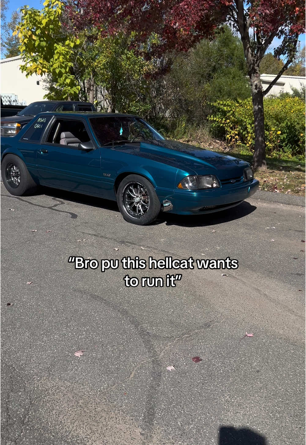 @Dan Rue i need that kitty merch #fyp #foxbody 