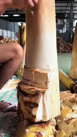 #fyp #text #stories #rizzapp 