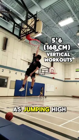 5'6 (168cm) with a 36-inch standing vert 🚀💥 Here’s the grind:   🔥 Front Squats   🔥 Jumping Trap Bar   🔥 Goblet Squats   🔥 Weighted Seated Jumps   🔥 Max Jumps   No shortcuts—just work. Who’s putting in the same energy? 👊 #bounce #dunk #jump #basketball #jumphiger #dunktransformation #grind #hops #motivation #hoops #performance #plyo #viral #fyp #foryou #vertical #plyometrics #athlete #haikyuu #littlegiant #hinatashoyo #volleyball #sports #training #progress #ShortKingBounce #VerticalWorkouts #36InchVert