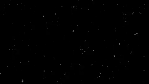 احا يمه جنها كمر @Batoul 🫵🏻🫦🫣#اكسبلورexplore #اغاني_مسرعه💥 #السوري🫡#اسعد_الفارس #يمه_جنها_كمر#viral #explore #اغاني_عراقي #اكسبلور 