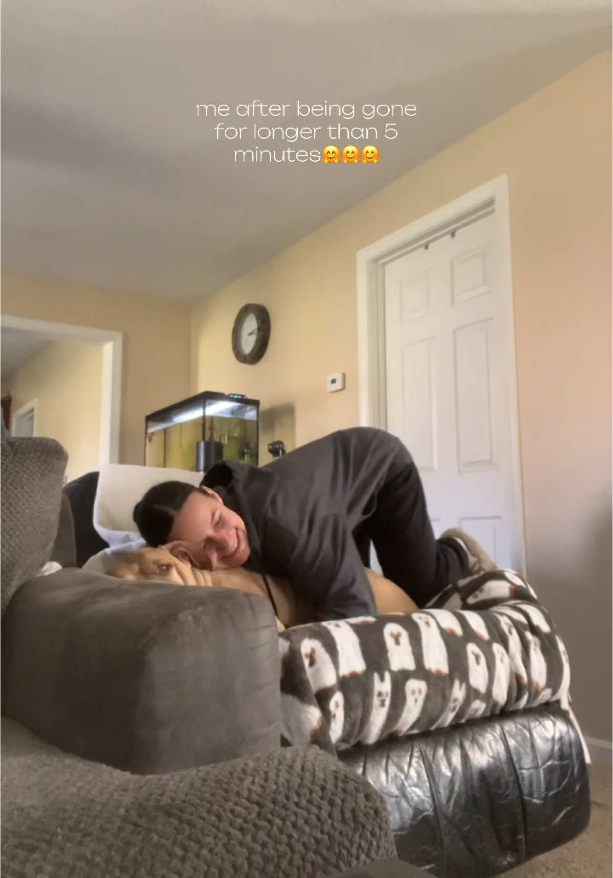 like hellooo stinkaabuttttttt i missed youuuu!!!!! did you miss me???🤗🥰 #dogmom #myshayla #petparents 