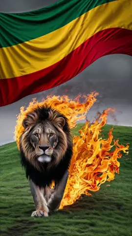 #ethiopian_tik_tok🇪🇹🇪🇹🇪🇹🇪🇹 #ertreantiktok🇪🇷 #oromotiktok❤️💚❤️ #Tigray #ሀበሻ🇪🇹🇪🇹🇪🇹tiktok #ኦርቶዶክስ_ተዋህዶ_ፀንታ_ለዘለዓለም_ትኑር #ፍቅርያሸንፋል💚💛💖 #capcut #ፋኖመከታቺን💚💛❤💪💪✅ቤተአማራ💚💛❤✊💒❤🤝❤🕌 #አማራዬ💚💛❤አማራዬ💚💛❤ #ሙስሊም #ክርስቲያን 