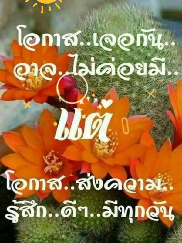 #เทรนด์วันนี้ #สวัสดีวันพฤหัสบดี #ขอบคุณหัวใจทุกดวง #อย่าปิดการมองเห็น #ผมมาส่งใจ 