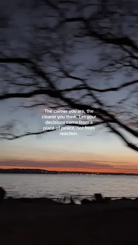 The calmer you are, the clearer you think. Let your decisions come from a place of peace, not from reaction. 🐻🫶🏼🤍 #ocean #nature #fyp #quotes #newyorkcity 