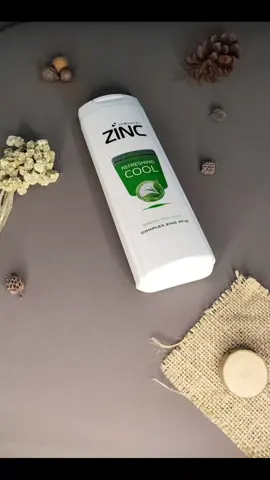 Shampoo Zinc ukuran 340ml #shampoozinc #shampoantiketombe #shampoozinc340ml #fypdong 