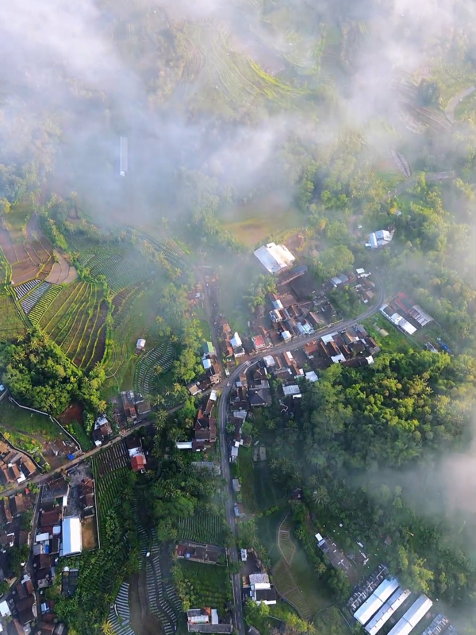 ngedrone depan rumah aja karena di wisata bayar 2jt 😁 . . . . #pesonaindonesia #jawatengah #djiindonesia #djimini3 #mini3 #djimini3pro #dji #fyp #temanggung #atasawan #drone #dronevideo #fypシ 