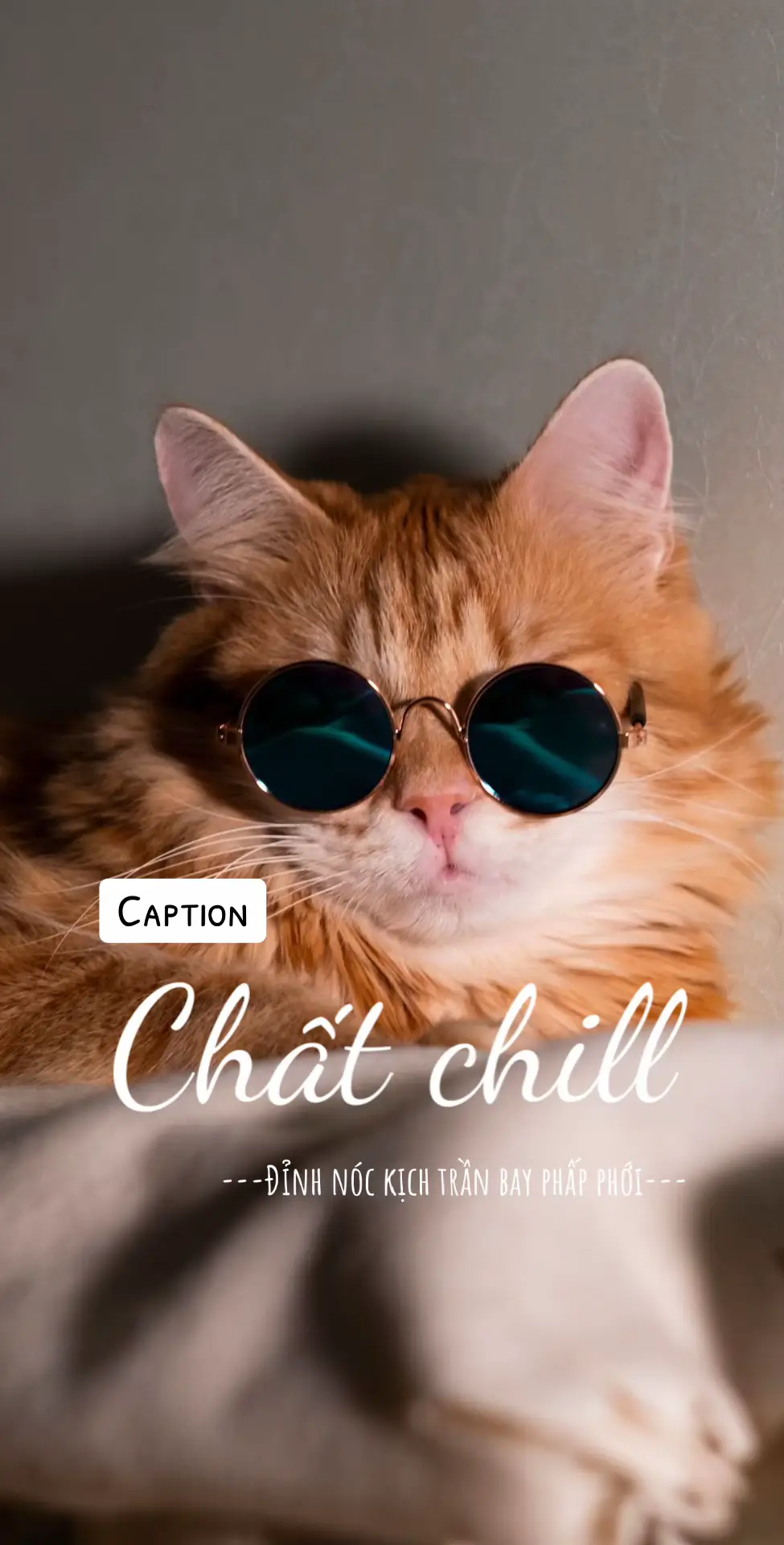 Người khác flexing, em không flex-em xinh🤭🤭🤭 #cotsongu30 #caption #haihuoc 