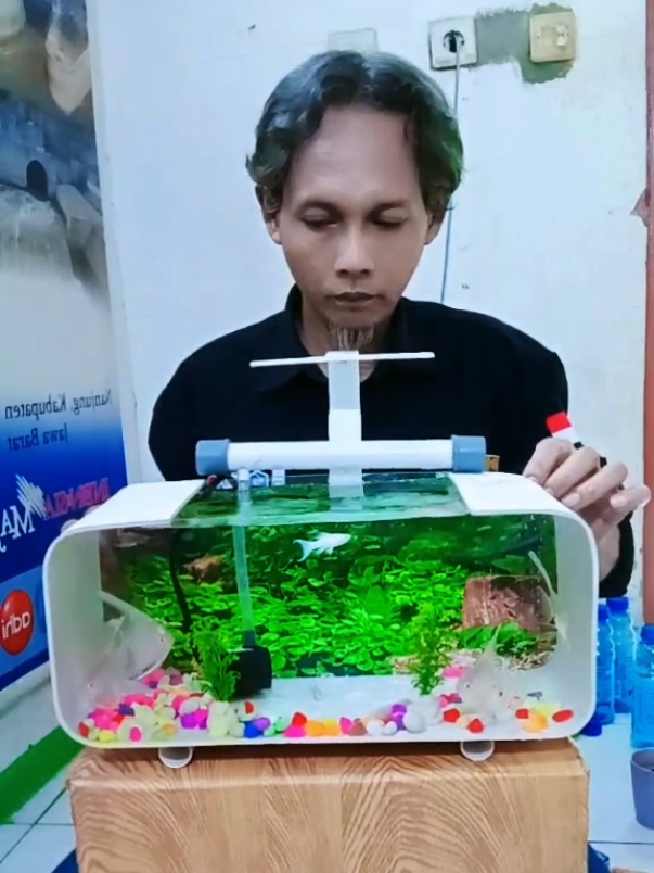 aquarium akrilik mini fullset transparan #aquarium #aquariummini #aquariumakrilik #aquariumfullset #cuantanpabatas #gebyarbelanjadesember #wibgajian #sahabatmc 
