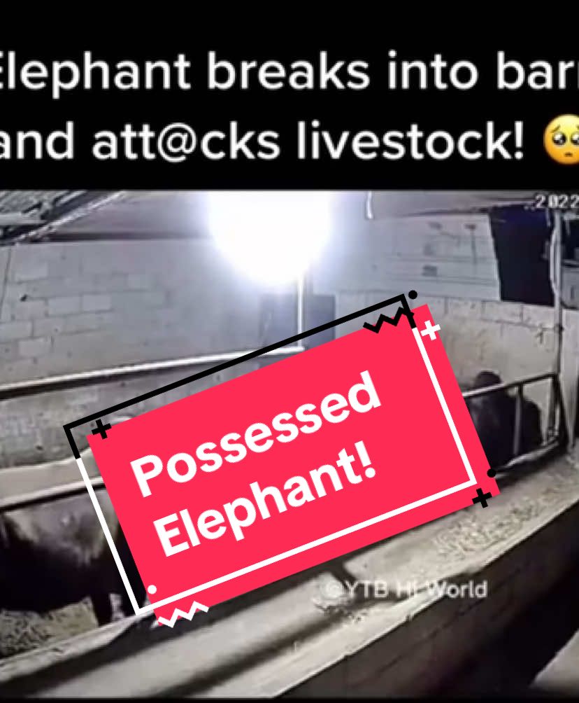 Spooky paranormal! #ghosts #paranormal #fypシ゚viral #paranormaltiktok #scary #spooky 