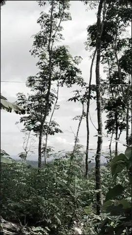 vibes kampung halaman🫶