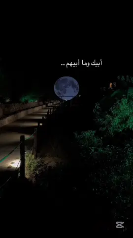 ولا غيرك حبيبي ❤️ #راشد #راشديات💙 #راشديات🤍🎻 #fyp #fypシ #حب 