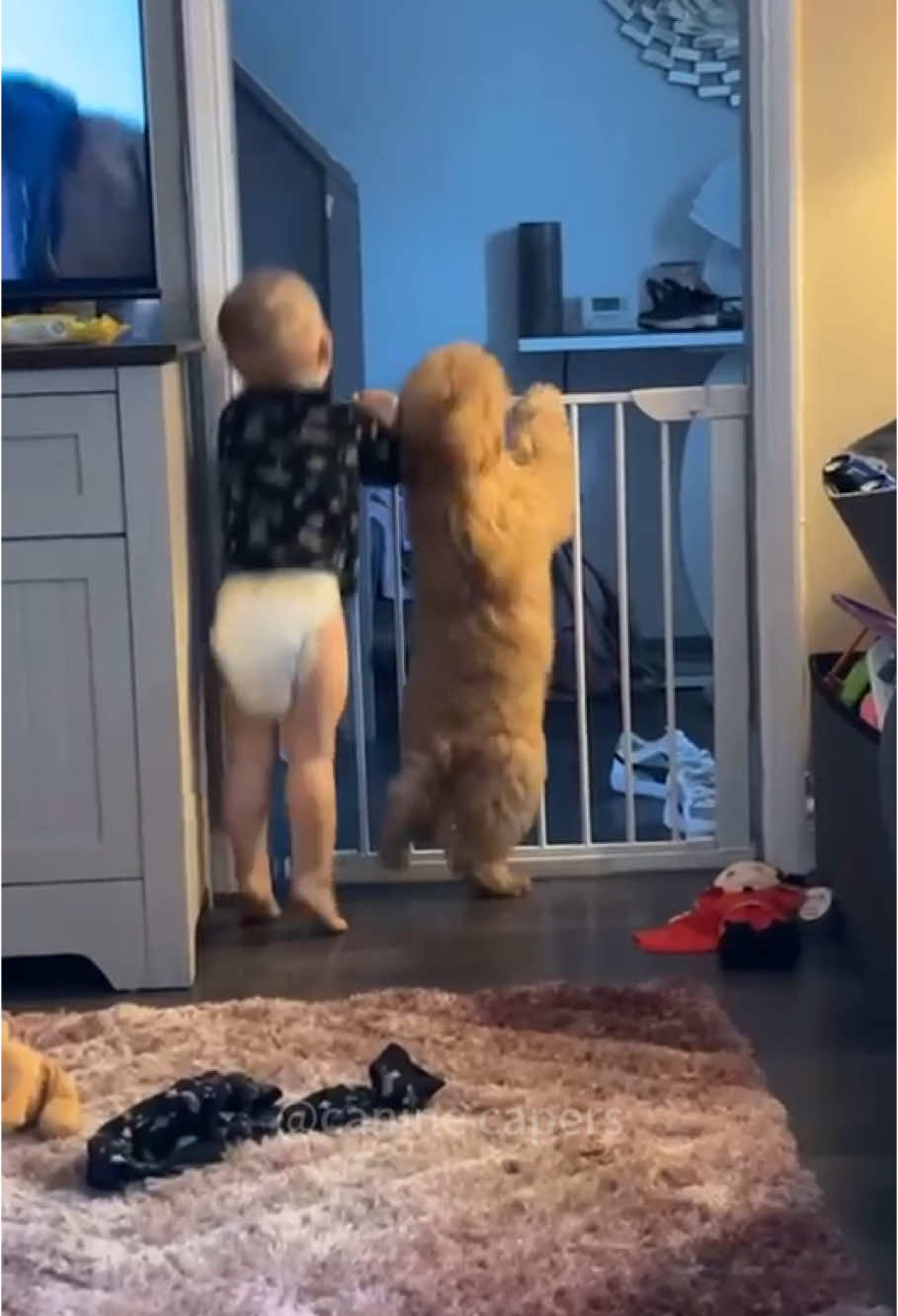 Baby and dog grow up together happily 🥰#dog #kid #baby #funny #dogsoftiktok #funnyvideos #animals #cut 