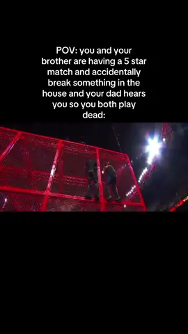 #fyp #foryoupage #explorepage #instagram #tiktok #wrestling #WWE #brocklesnar #sethrollins #dolphziggler #meme 