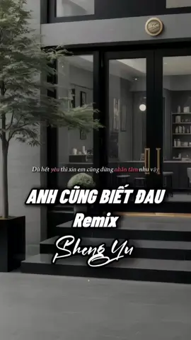 Dù hết yêu thì xin em cũng đừng nhẫn tâm như vậy... | Anh Cũng Biết Đau Remix #nhachaymoingay #盛宇shengyu #CapCut #capcutmaster #xuhuong #betamusic #anhcungbietdau #khahiep