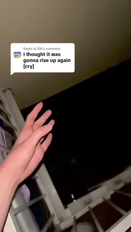 Replying to @Šãł  he has risen #usagi #chiikawa #fyp #alnst #hyulukanextround #jesus 