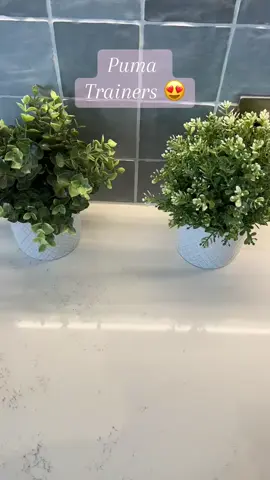 How cute are these trainers from Puma! Theyre perfect for the summer and they’re super comfy 😍 #fashion#womensfashion #womensfootwear @puma  #tiktokmademebuyit #summersale #trainers