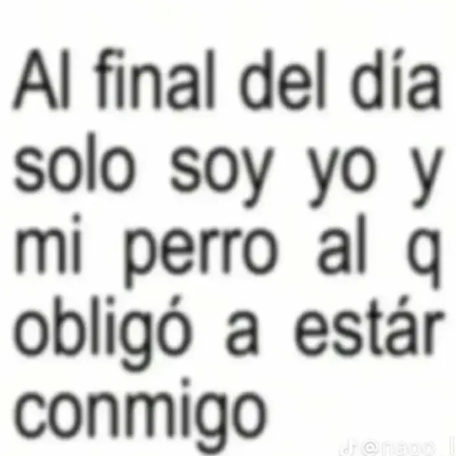 #perro #paratiiii #fyp 