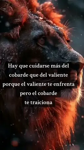 #paratiiiiiiiiiiiiiiiiiiiiiiiiiiiiiii #estoyaqui #tulugar #CapCutMotivacional 