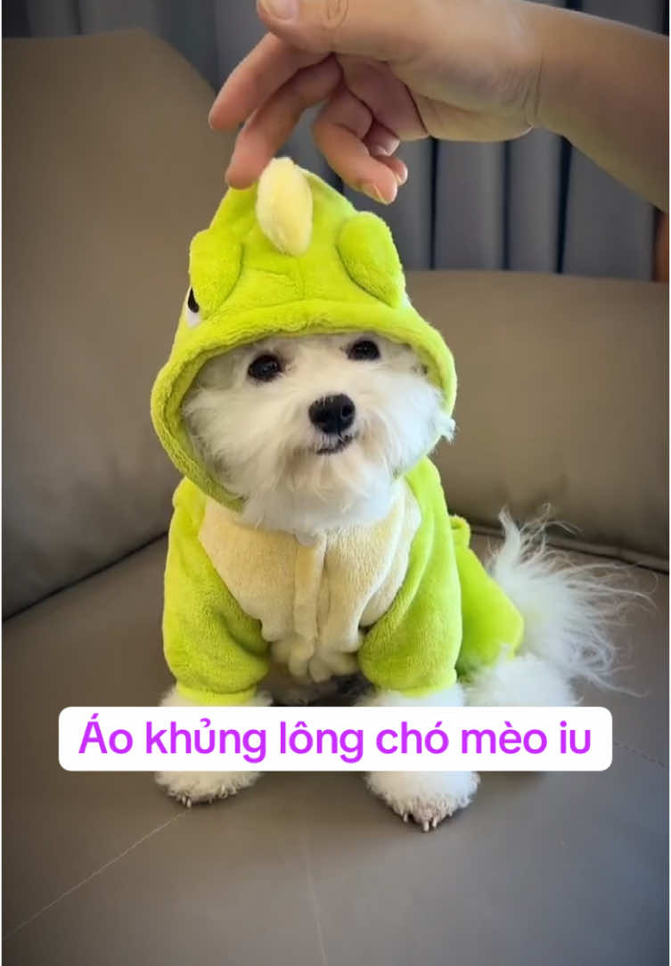 Trời lạnh rồi nè, Sen nhớ mua áo ấm cho Boss nhé Sen ❤️  Áo khủng lông đẹp xỉu luôn ý 😉😛 #aokhunglongchothucung #aokhunglongchochomeo #aoquanchomeo #yeuchomeo #chamsocthucung #xuhuong #viral  @Happy.Pets  @Happy.Pets  @Happy.Pets 