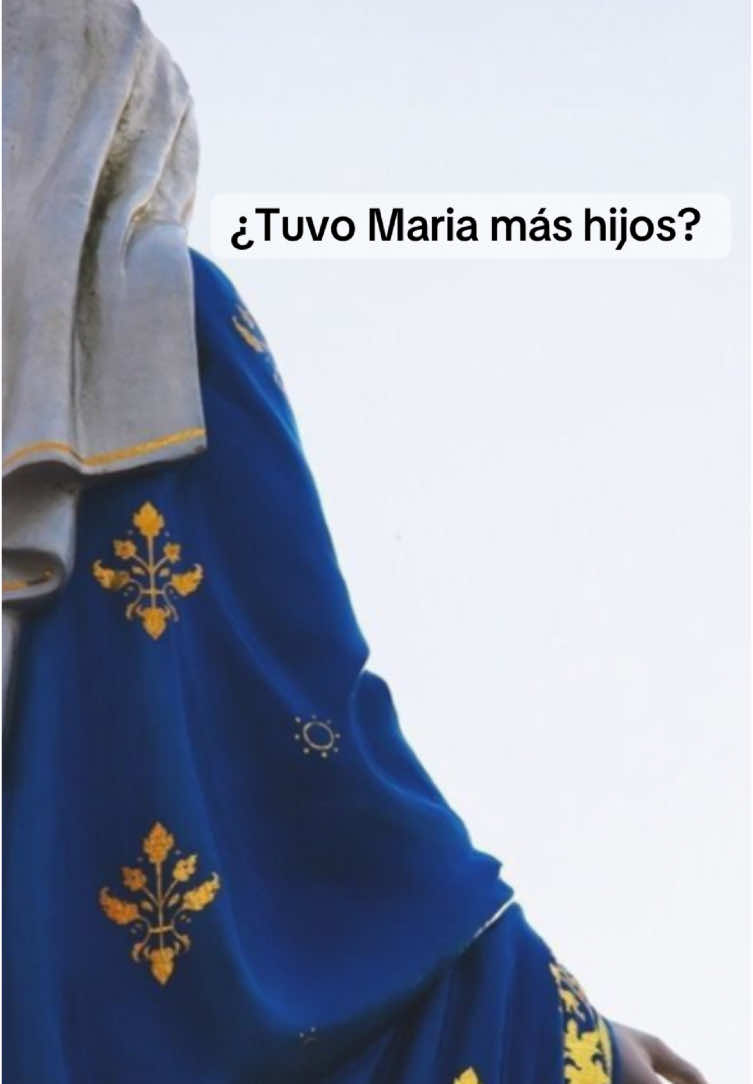 Mateo 13:55 #virgen #maria #dios #jesus #hermanos #fe #biblia #versiculos #amor #hijos #virgenmaria 