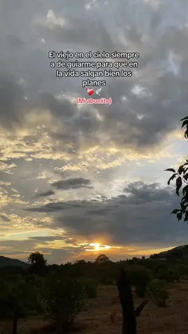 Siempre contigo..👴🏼❤️‍🩹 #fyp #abuelito #teextraño #🕊️ #foryoupage #pov #rancho #parati #paratii #fypシ゚viral #💔 #p 