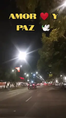 Los WaWanco - Amor Y Paz #musicaconletra #parati#musicanavideña #paz#amor #loswawanco #amorypaz#viralrells 
