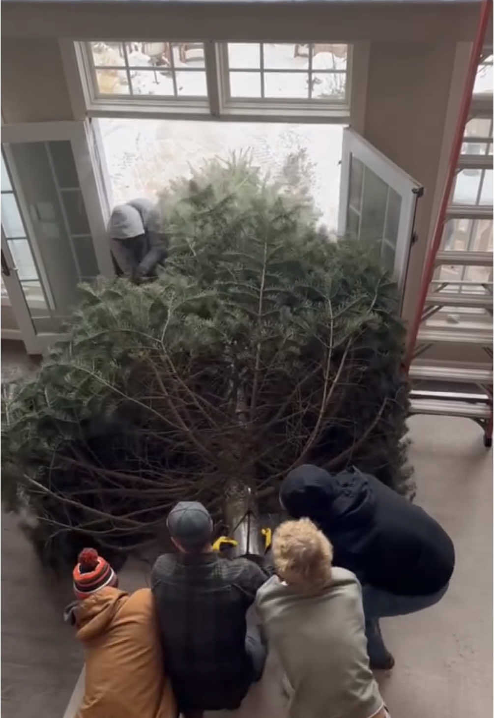 Experience the timeless beauty of a naturally cut Christmas tree, bringing the spirit of the holidays into your home like never before. This massive, extravagantly shaped tree is the epitome of holiday grandeur, filling your space with its lush greenery, enchanting fragrance, and breathtaking presence. Whether adorned with sparkling lights and delicate ornaments or left in its natural, majestic glory, this tree transforms any room into a festive wonderland. Perfect for creating lasting memories with loved ones, it’s the ultimate centerpiece for your holiday celebrations. Discover the joy and charm of embracing nature’s finest craftsmanship this Christmas season. DM for credit  #ChristmasTree #NaturalChristmasTree #HolidayDecor #ChristmasVibes #HolidayAesthetic #HomeDecorGoals #FestiveSeason #LushGreenery #ChristmasInspo #TreeOfTheYear #ChristmasTradition #ExtravagantDecor #HomeForTheHolidays #HolidayMagic #MajesticChristmasTree #NatureLovers #FestiveHomeDecor #HolidayCheer