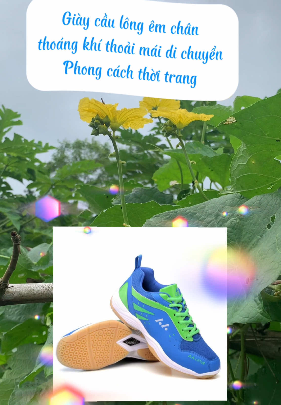 Giày thể thao cầu lông 