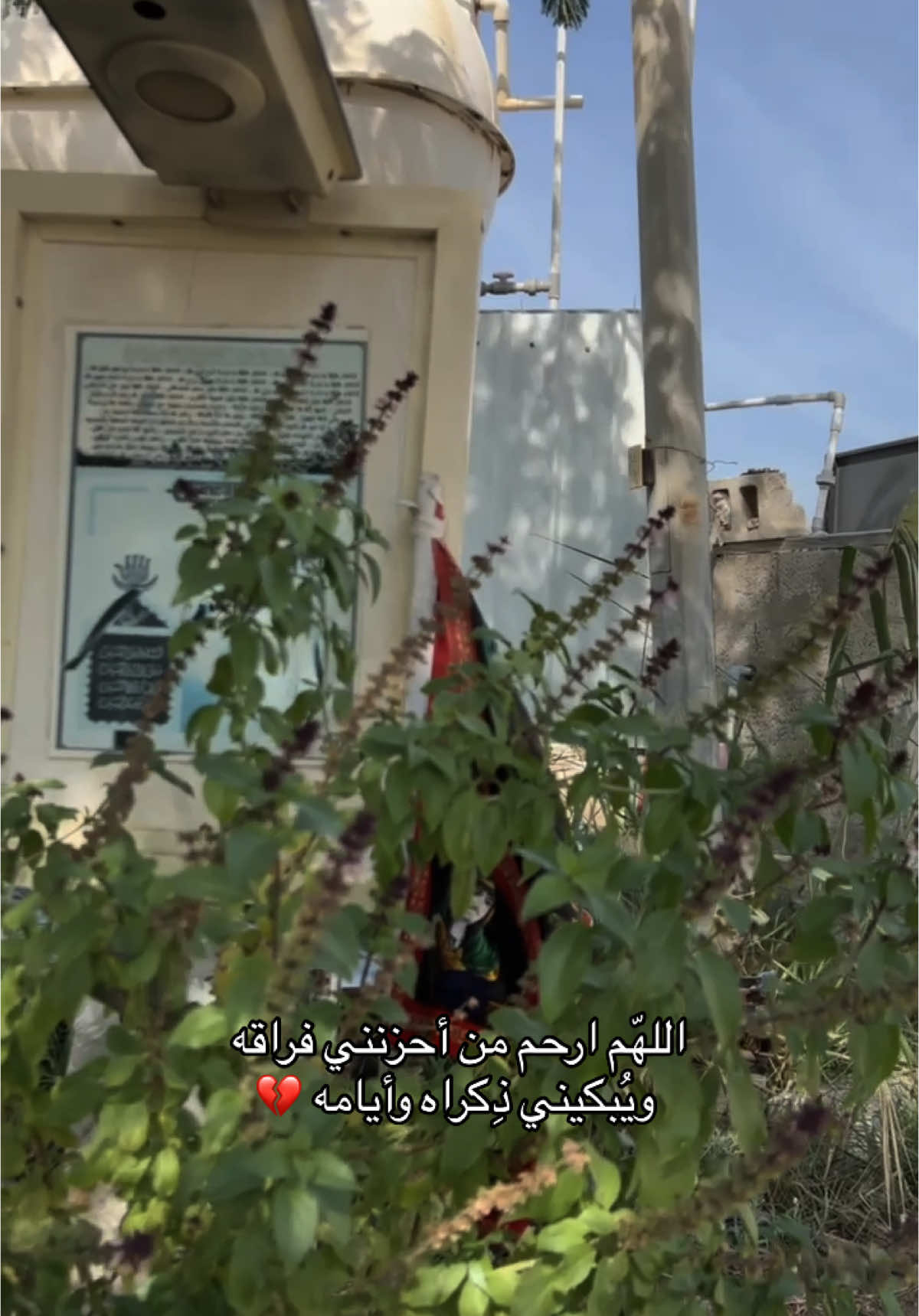 #اللهم_عجل_لوليك_الفرج #اللهم_صلي_على_نبينا_محمد #اللهم_عجل_لولیک_الفرج #شيعة #كسرتنا_الجبيره #كسرتنه_الچبيرة💔 #فقيدي_أبي #الله_يرحمك_ويجعل_مثواك_الجنه_يارب #ابوي #فقيدي #الابو #راح #يتيمة_الاب_والقلب💔 #رحمة_الله #فقيدي 