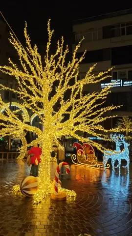 🎇🎄🎁🎆2025 #🎄 #2025 #travellifestyle #blog #trip #blogger #turkeyguzel #istanbul #türkiye🇹🇷 #turkey🇹🇷 #travell #travel #traveltiktok #traveling #travelblogger #🎇 #christmas #christmas2025 