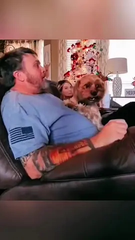 Dog:what happened!#anime #friend #foryou #dog 