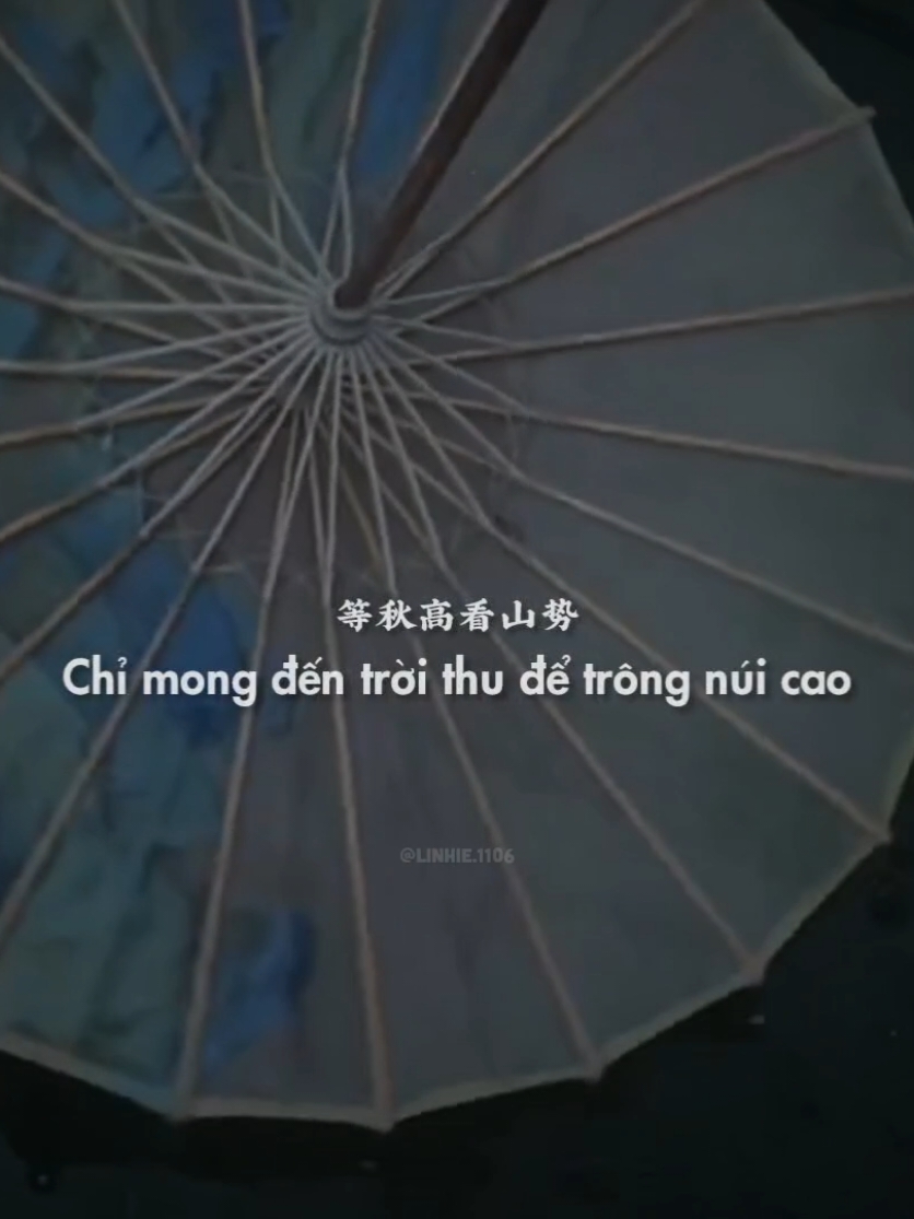 再探故知.. #thamcotri #nhactrung #lyrics #douyin #xuhuong #tnlcorner 