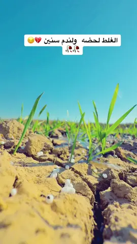 #صم_حنطه_وشمرته_والحمام_الآف🥺 #سمير_صبيح❤️ #مجرد________ذووووووق🎶🎵💞 #حته_استمر #youtube #fyp #asmr @مروان ال شمر ✌️ @حسن علي مزهر الشمري @عبدالله ثويني @حسين الكناني 