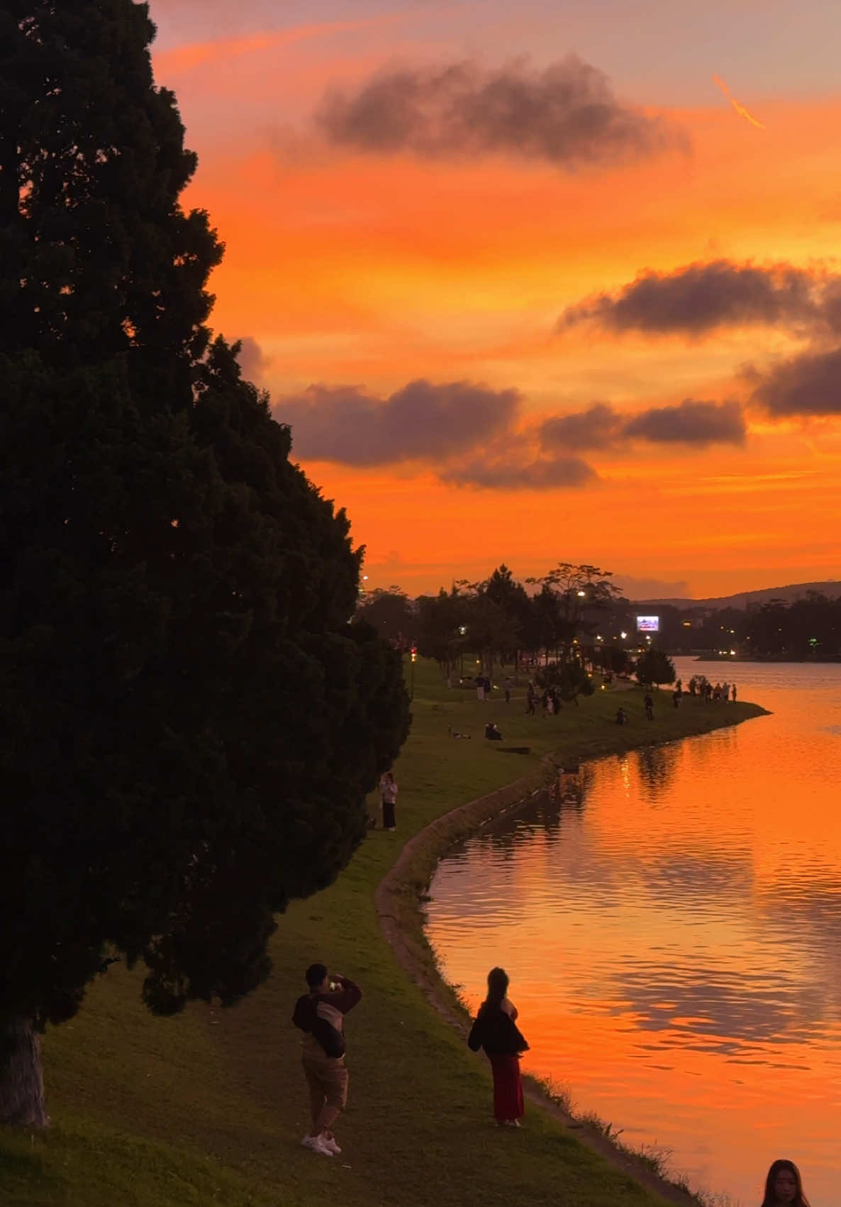 Đà Lạt 19/12 đẹp không tin được #đàlạt #dalat #hoànghôn #sunset #hoxuanhuongdalat #dalatstory #checkindalat 
