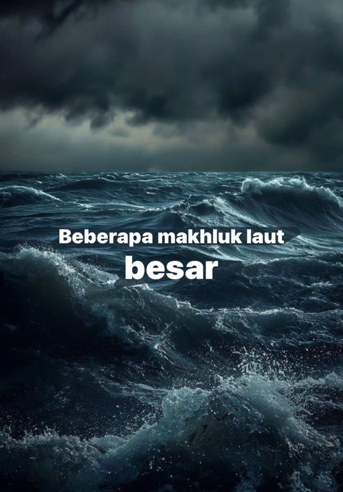yang paling gede udah pasti dia #ocean #radexn #fyp 