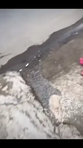 hai bé gái có Võ 