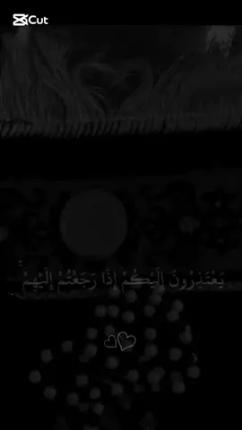 #يعتذرون_اليكم_اذا_رجعتم_اليهم 