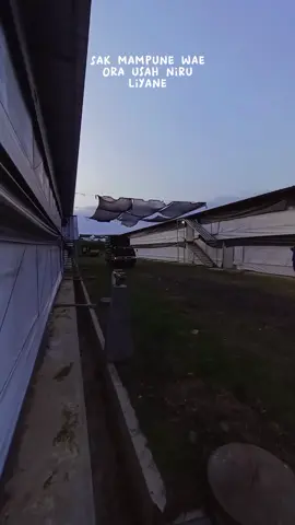 #CapCut #jowopride #storyjowo #fypシ゚viral 