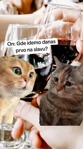 Slavi se 😄 #macke #smesno #zabava #zabavno #smesniklipovi #balkanfyp #smesnodosuza #smehoteka #humor #mimovi 