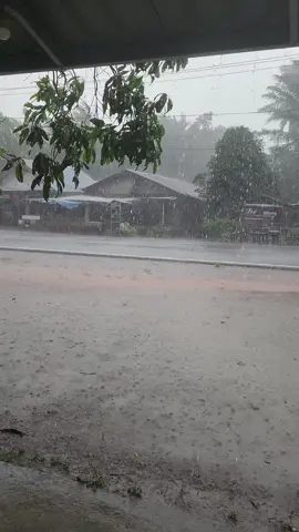 hujan hujan tiba2 deras + angin kencang.... lokasi Bebute 