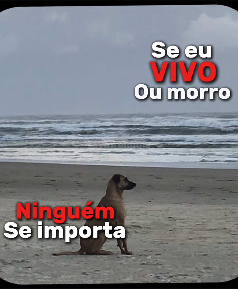 Foi quando gyro finalmente entendeu… #foryou #fy #natal #jesus #vaiprofy #lirycs #triste 