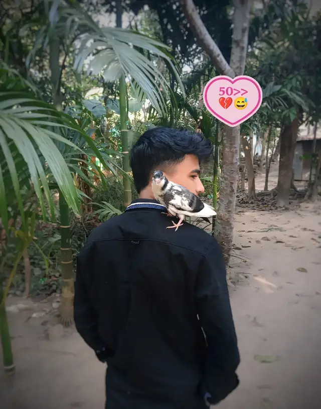 তারে দেখার পর,আর কিছুই দেখি নাই💔😞#voice  #justcontent 