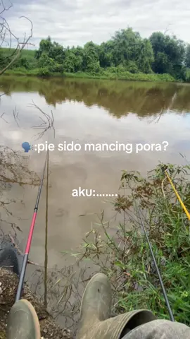 cah as*#xybca #fyp #blitangokutimur #mancing #mancingmania 