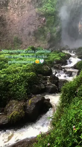 Ennaval 🤍🫀 #tagher #fypシ゚viral #feelings #tamil #repost #trending #fyppppppppppppppppppppppp #fypシ #bgm 