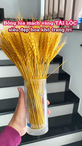 Lúa mạch vàng Tài Lộc #luavang #hoakho #trangtri#trangtritet #phukientrangtritet 
