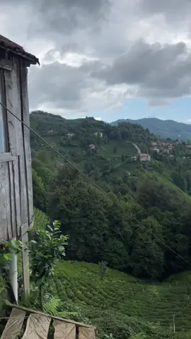 💚 #karadeniz #rize #trabzon #giresun #artvin #ordu #samsun #trabzonspor #karadenizşarkıları #kuzeyyıldızı #senanlatkaradeniz #laz #kesfetteyiz #fyppppppppppppppppppppppp #keşfetteyizzz #keşfetbeniöneçıkar 