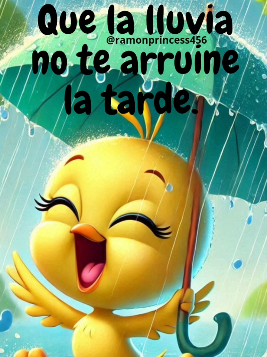 ¡Buenas tardes! #welcomebeginners71 #ramonprincess456