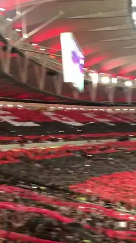 Jogo histórico! Semifinal contra o Grêmio, Libertadores 2019. #flamengo #maracanã #viraltiktokvideo #torcidadoflamengo #torcida 
