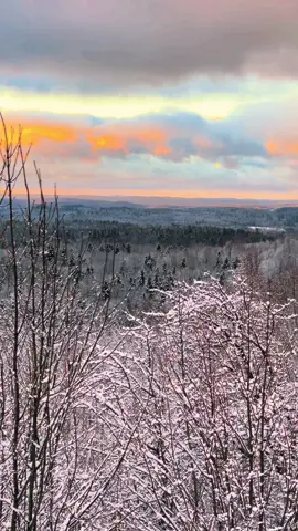 Today in Vermont #explorevermont #hellofayear #winterinvermont #vermontlife #